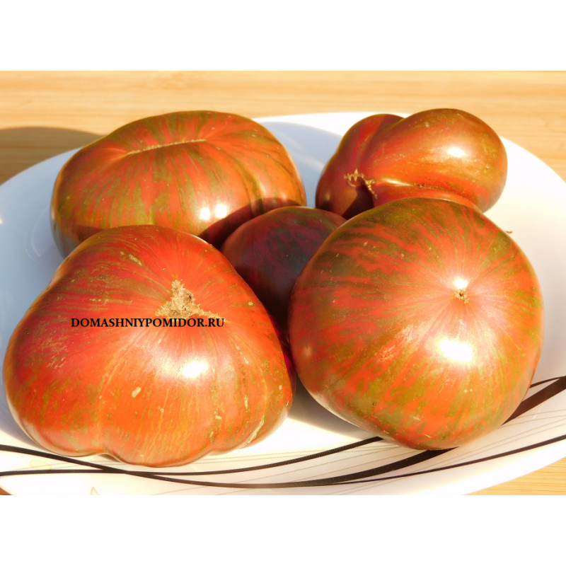 Гном Стринги ( The Thong, США)